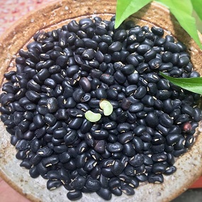 Black bean - Đỗ đen xanh lòng